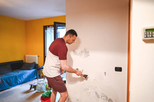 Best Kitchen Mold Remediation in Florin, CA